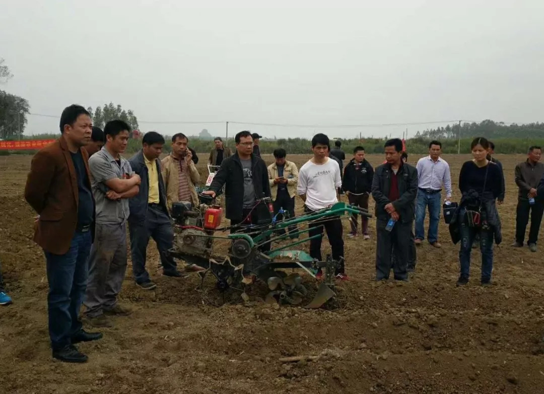 星力量主持团队,星力量主持