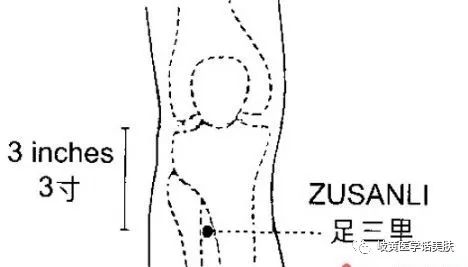 「杏林微科普」带您了解：中医穴位埋线