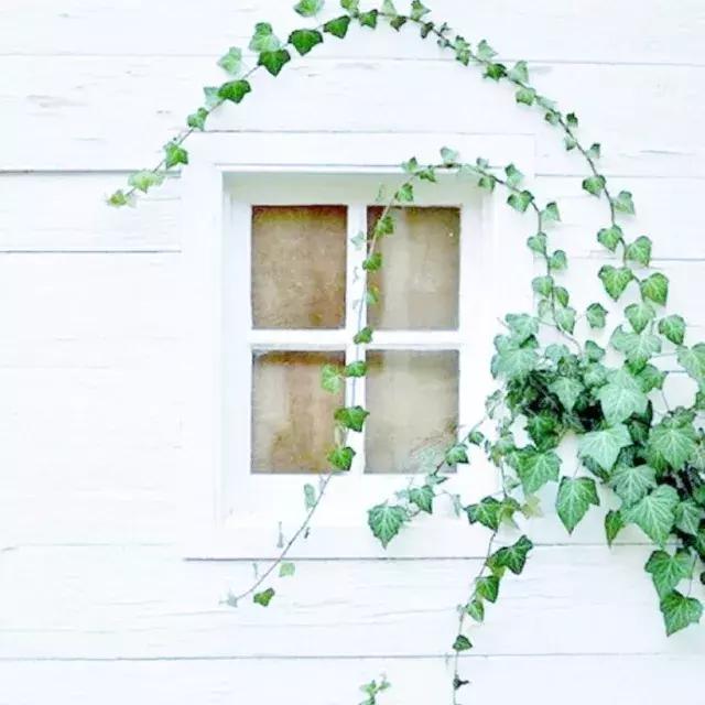 杨绛谈人生处世的书,杨绛人生曼妙的风景适合男生读吗