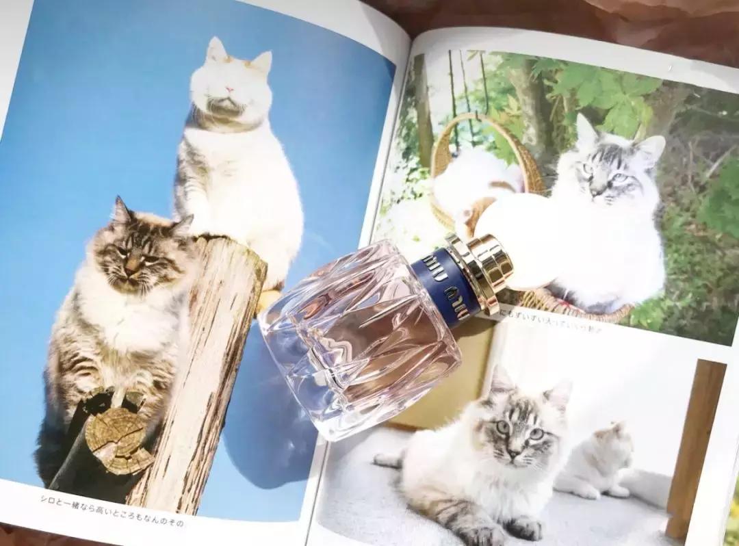 丝芙兰最值得买的单品,丝芙兰值得买的单品