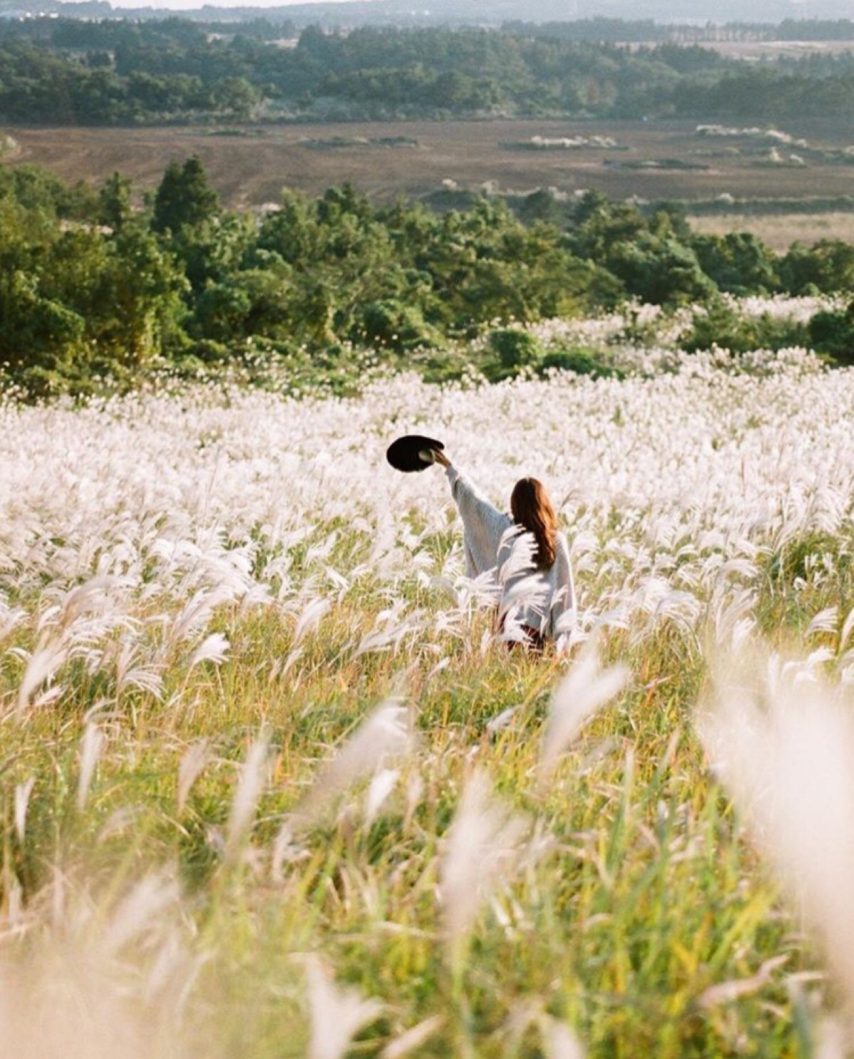 好的排毒胶囊,最好的排毒养颜药品