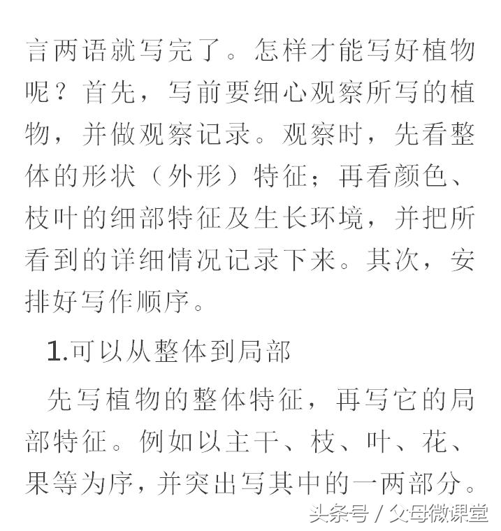 小学作文写作技巧与口诀,小学作文写作技巧和口诀