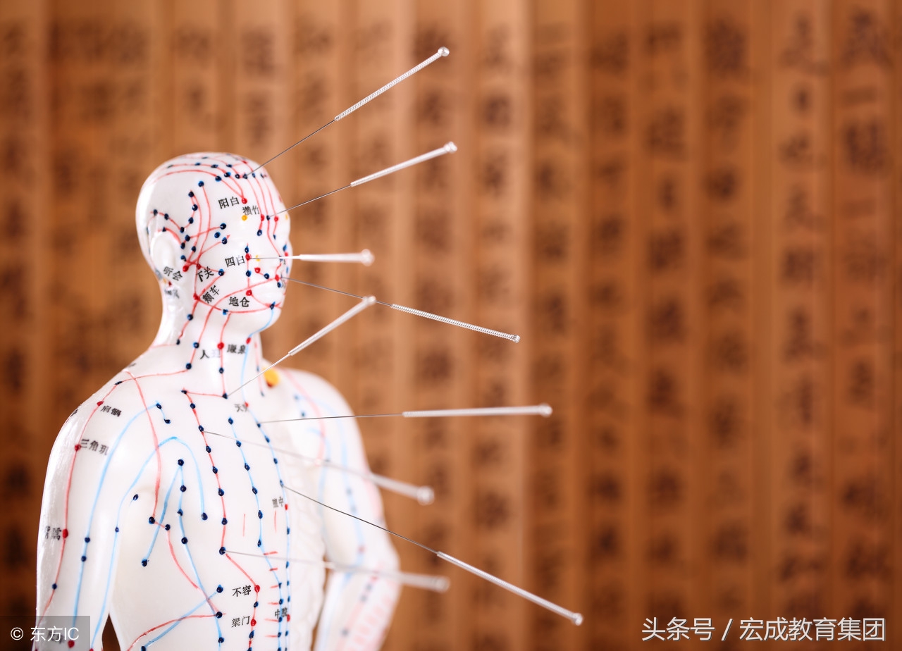 中医确有专长针灸考试视频,中医专长考核针灸技术类型