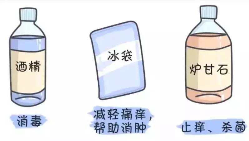 为什么秋天的蚊子咬人最厉害,被秋天的蚊子咬了