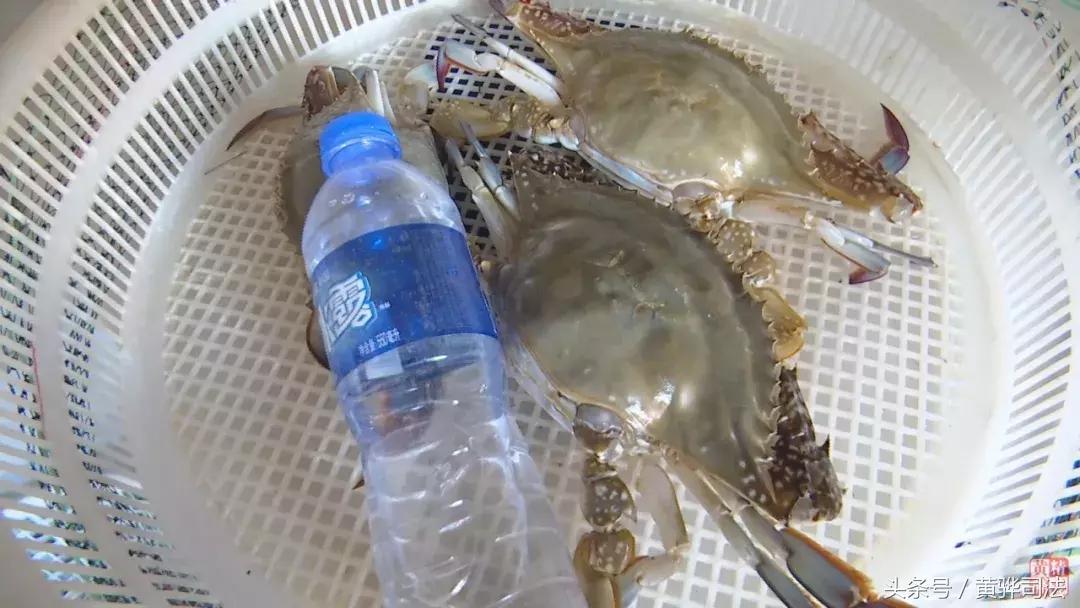 黄骅本地人吃海鲜的地方,黄骅海鲜干货