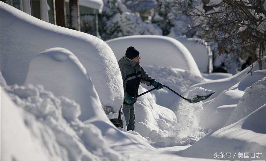 去刘强东学习的明尼苏达大学留学好不好？