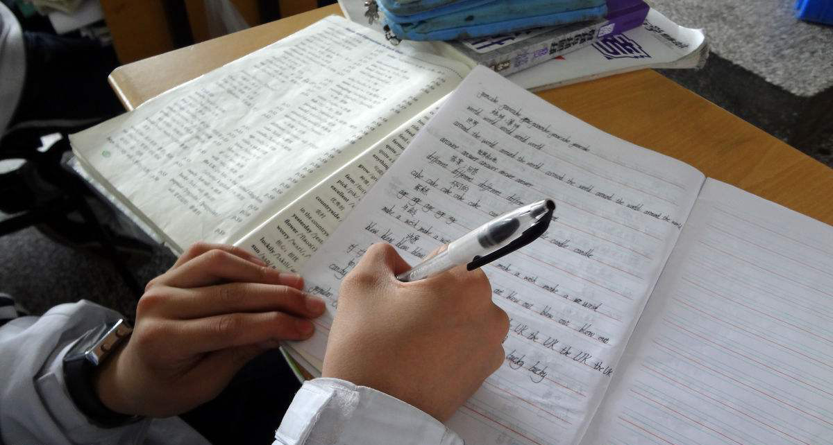 小学生作业10元一分,数学作业20以内加减法