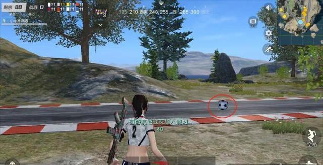 伤害比awm还要高的武器,比awm杀伤力更强的道具