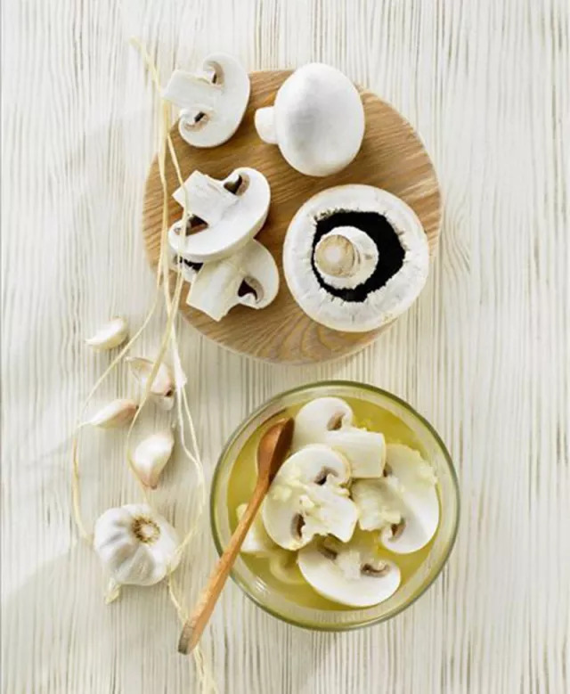 口蘑中最名贵的是什么蘑,口蘑是哪个地方特产