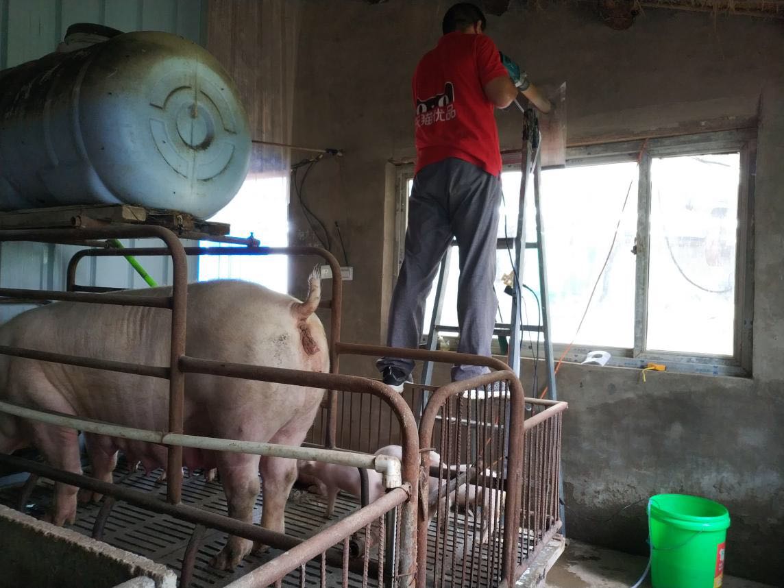 大叔，你是魔鬼么？为了让猪猪“长膘”，居然装空调？
