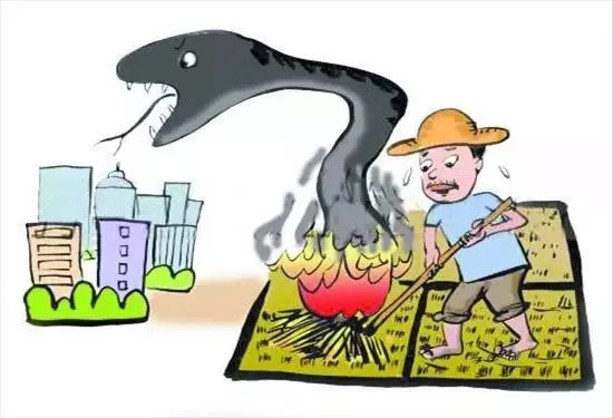 农村防火宣传,农村防火知识视频模板