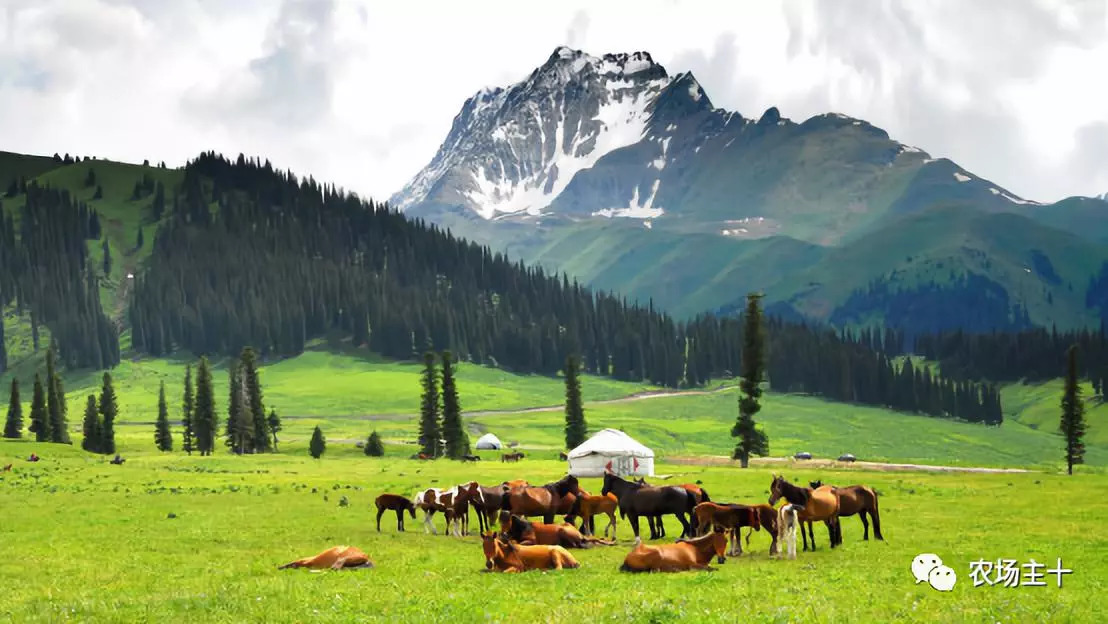 成为农业大户的条件,中国农场主的要求