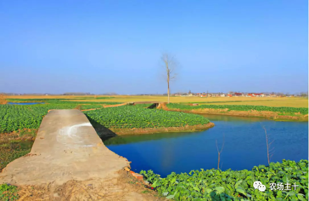 成为农业大户的条件,中国农场主的要求