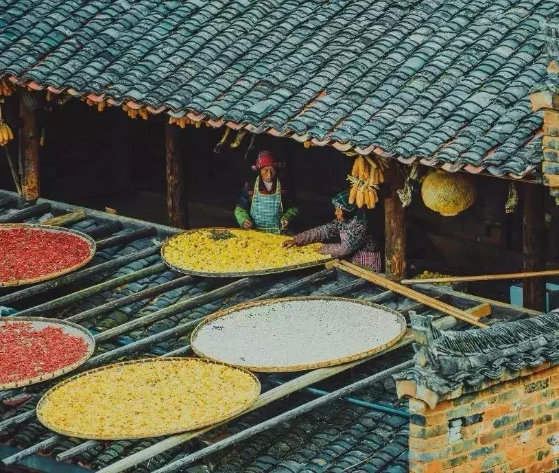 生活很苦不如出来走走,生活很苦想出去走走