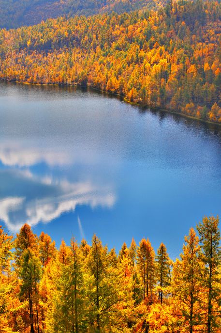 这些绝美小黄片,已经陆续在全国上线,找个时间去扫黄吧