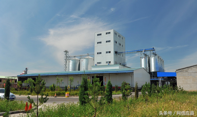 吸金纳银大磁场——臧寨乡强力推进招商引资工作纪实