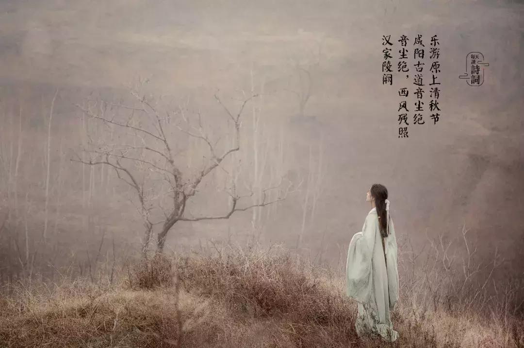 清秋唯美诗词,人间最美是清秋诗词