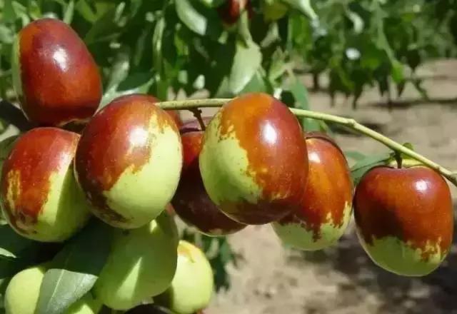 开海了！抖音上的小姐姐，来烟台吧！海鲜管够……