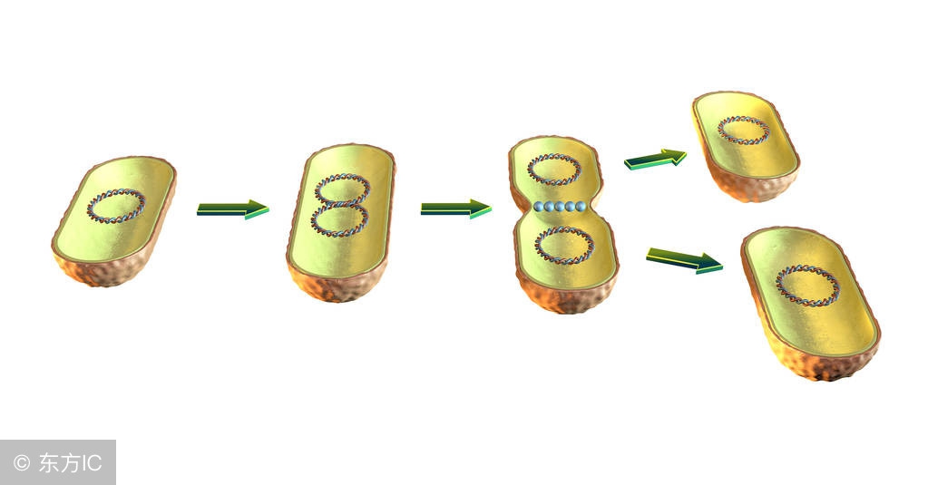 实体微商赚钱的奥秘,微商复制裂变有效思路