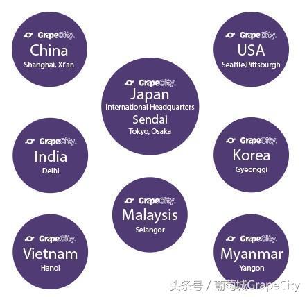 葡萄城spreadjs教程,spreadjs表格组件