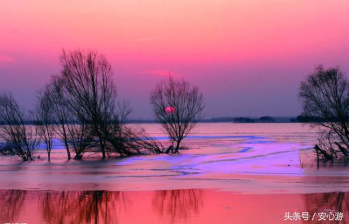 去微山湖看荷花哪里位置最好,7月微山湖红荷湿地公园旅游攻略