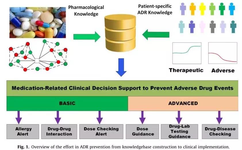 新药研发基础知识,新药开发概论在线阅读