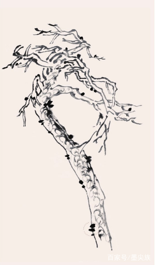 工笔松树简单画法步骤,松树的画法和技巧视频