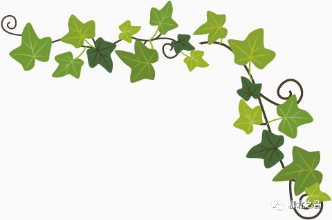 柳州市第十九中学校,柳州市第十九中学课堂教学