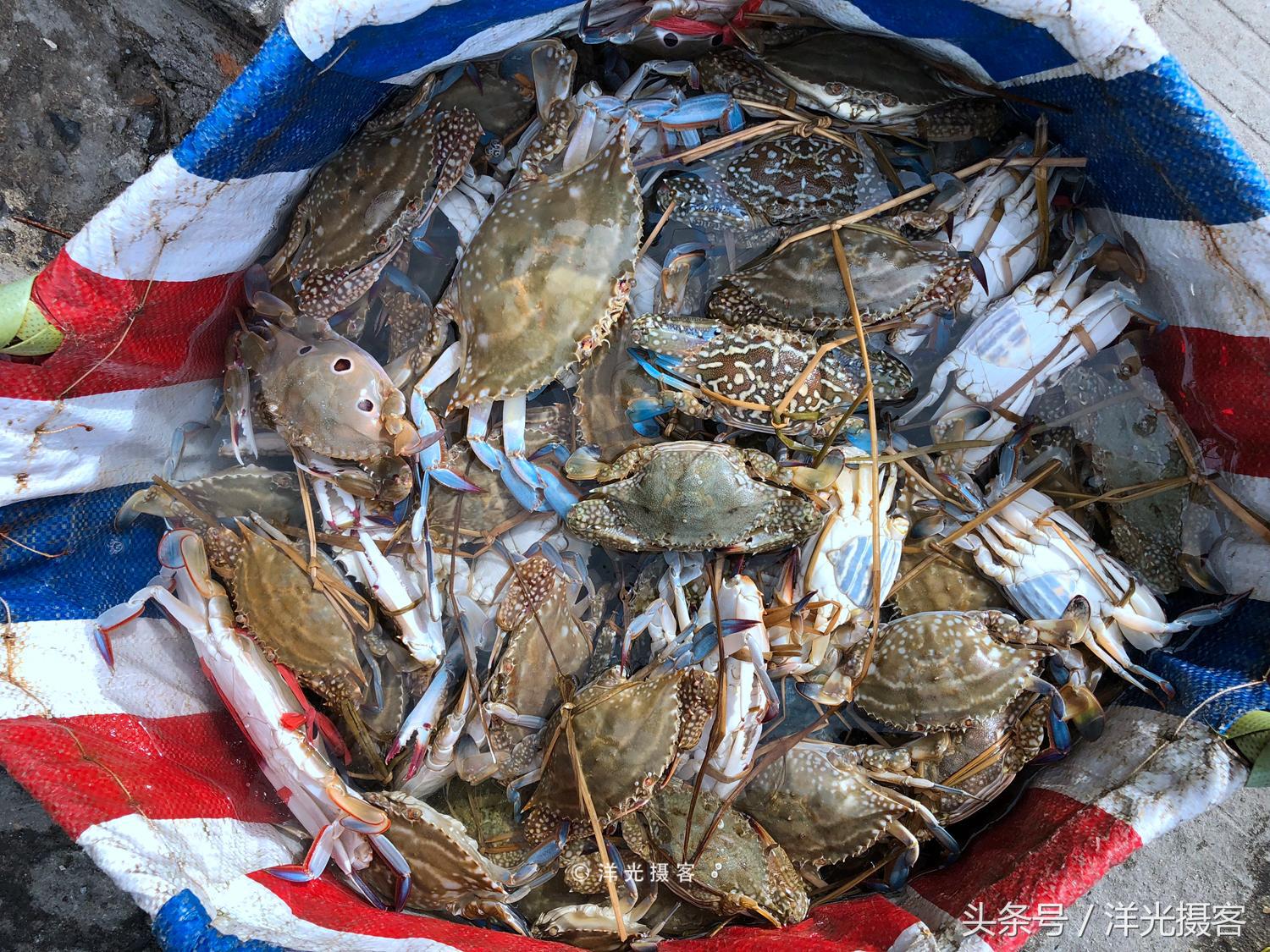 北海老街珍珠粉哪里有卖,北海本地人去哪买珍珠粉