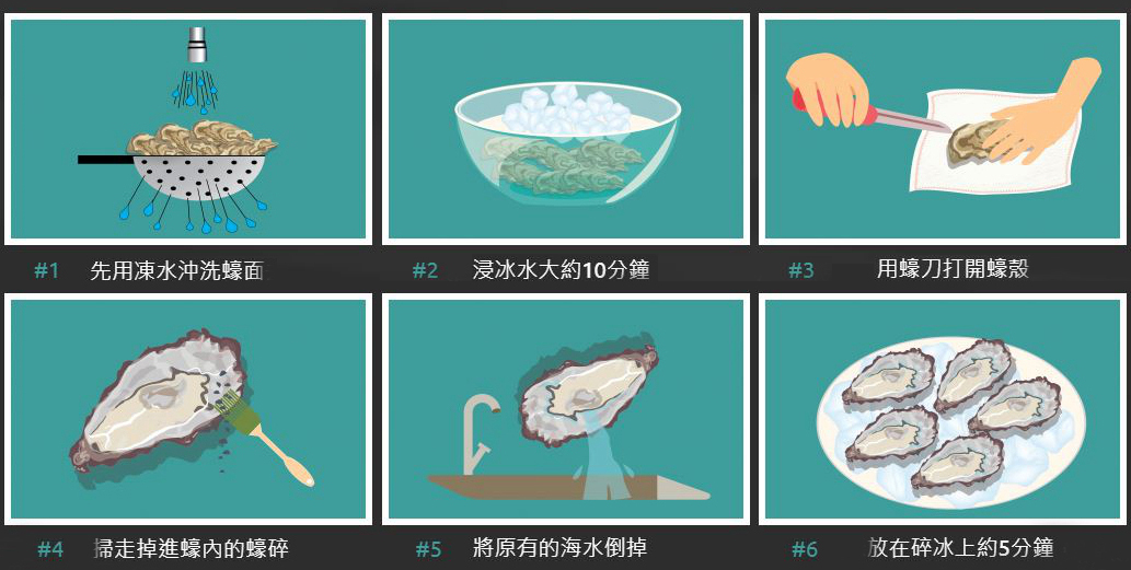 海边贝类种类,各种贝类的名称