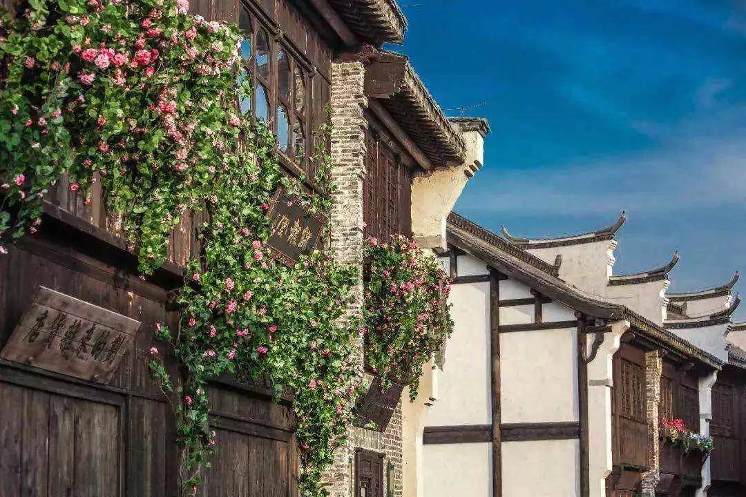 盐城以后有可能成为二线城市吗,盐城有望成为二线城市吗