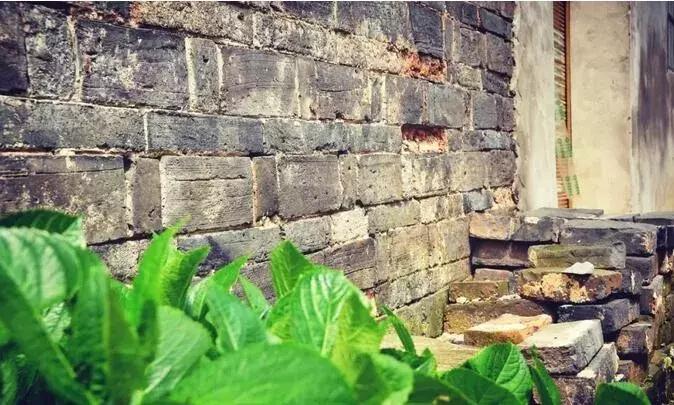 宜昌董市古镇,枝江市古镇