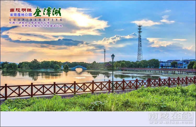 90后大学生返乡种地记录生活点滴 (90后大学生返乡种地)