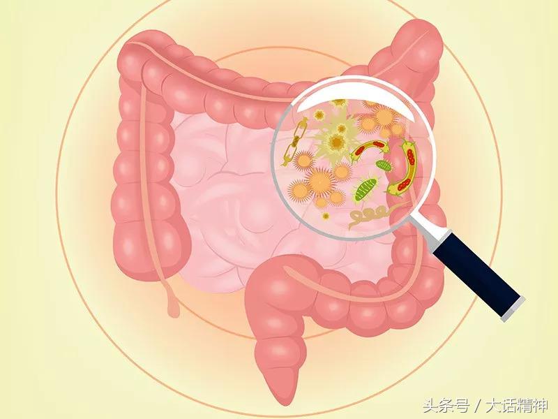 微生物细胞和人体细胞,微生物细胞和微生物群的区别