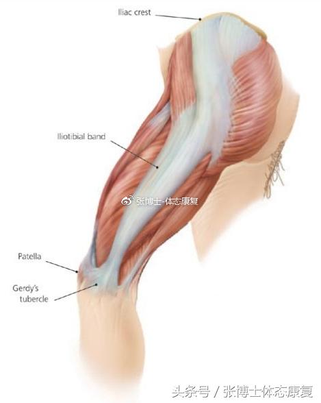 运动康复跑步膝盖疼,髂胫束摩擦综合征还能跑步吗