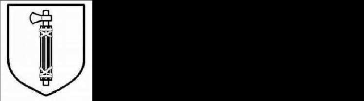 二战德国*党**卫军45个作战师的名称标志的由来以及他们之间的区别