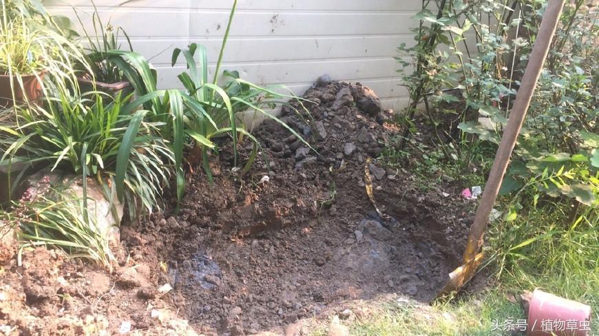 庭院景观鱼塘建造,庭院简单小鱼塘建造