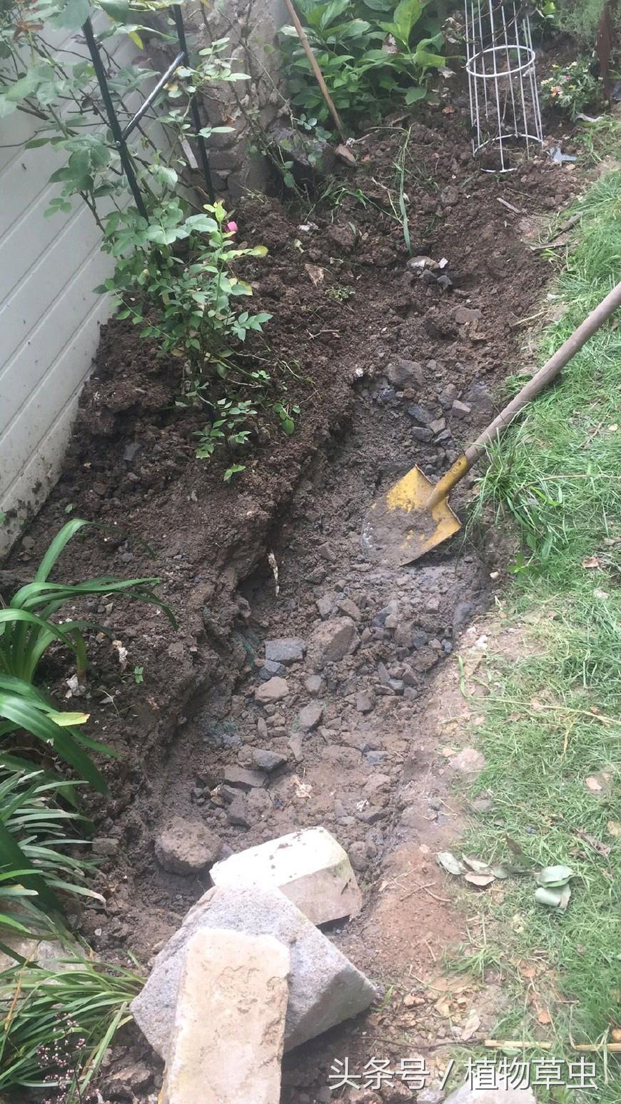 庭院景观鱼塘建造,庭院简单小鱼塘建造