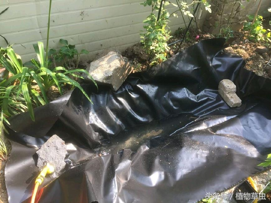 庭院景观鱼塘建造,庭院简单小鱼塘建造