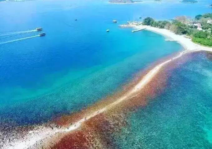 国庆去香港旅游怎么免费坐地铁,九月份去香港旅游