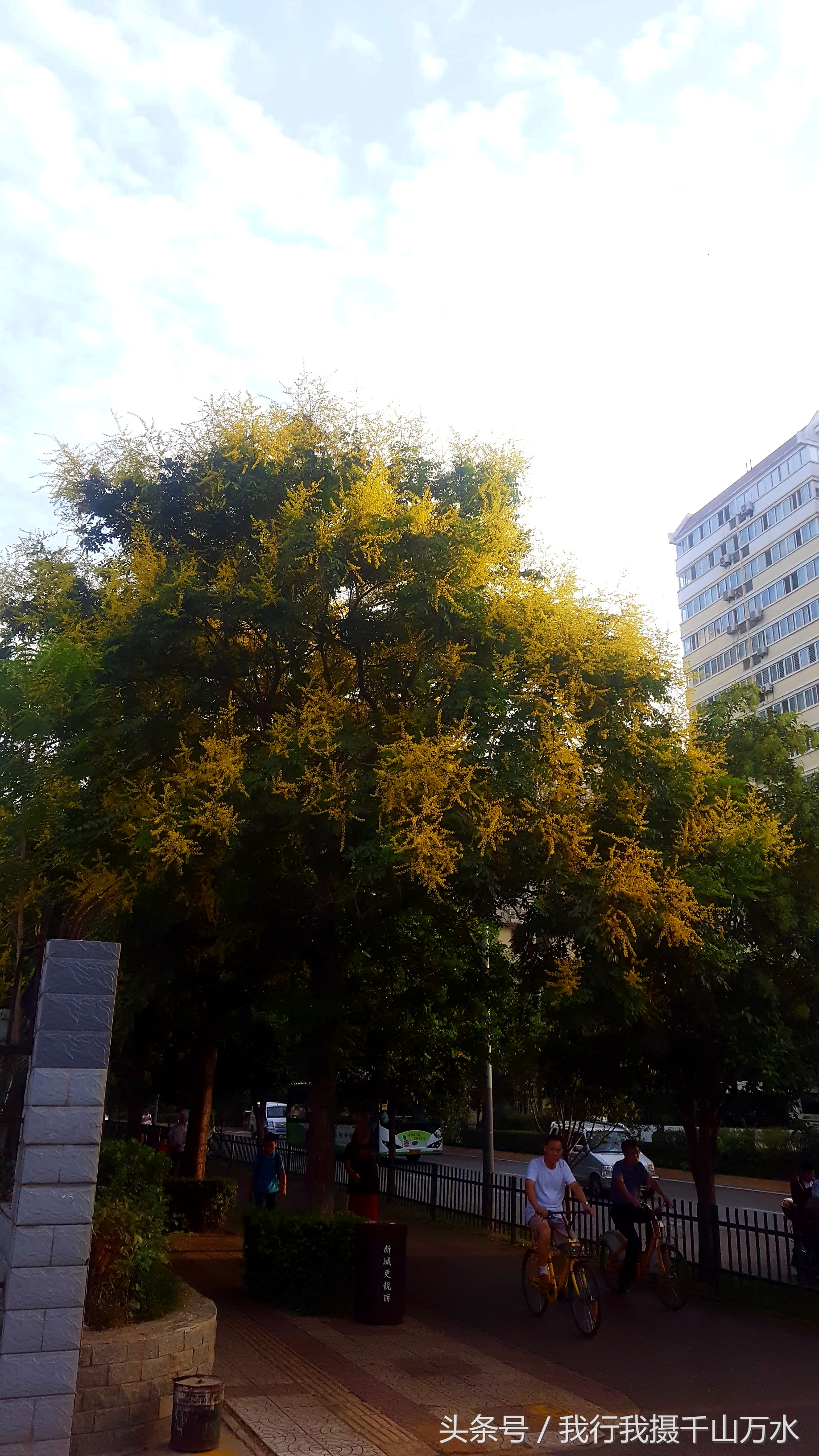 民间健身及尽享足球之乐的好场所——西安西光厂体育场