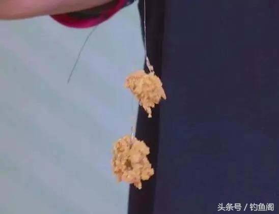 如何开出一款好拉饵？关键在于拉丝粉，长丝和短丝你得分清楚