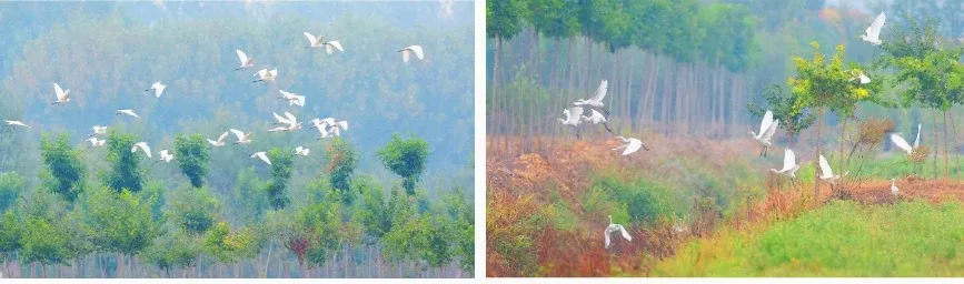 古城祥和庄园,祥和庄园治愈系风景