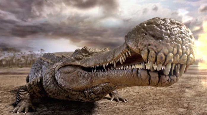 六角恐龙肚子变大是怎么回事,恐龙为什么这么大