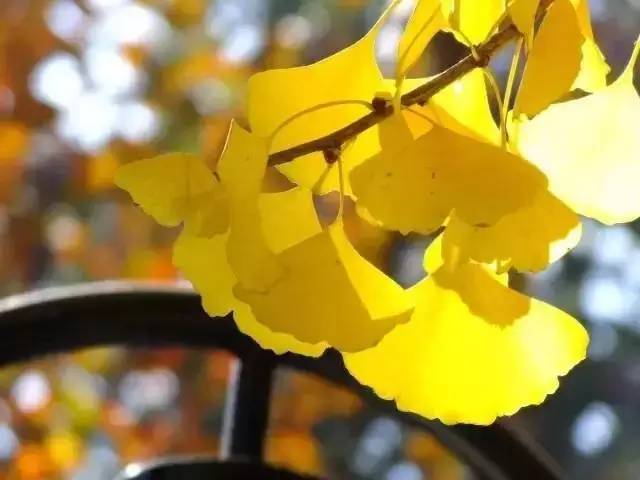 我存了256G的小黄片想和你深夜一起看