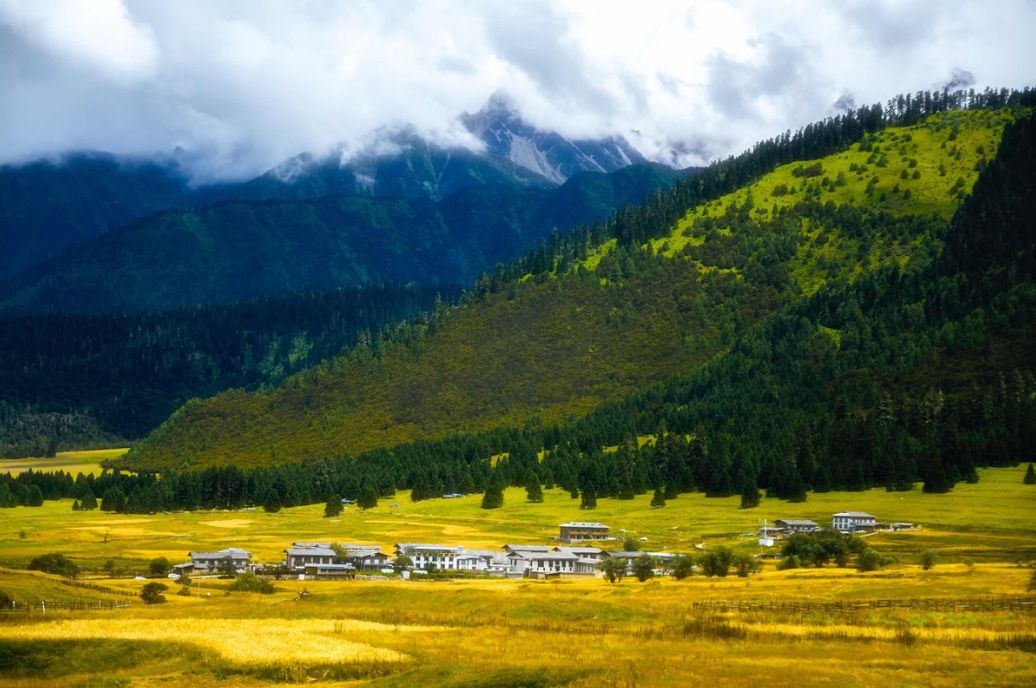 我存了256G的小黄片想和你深夜一起看