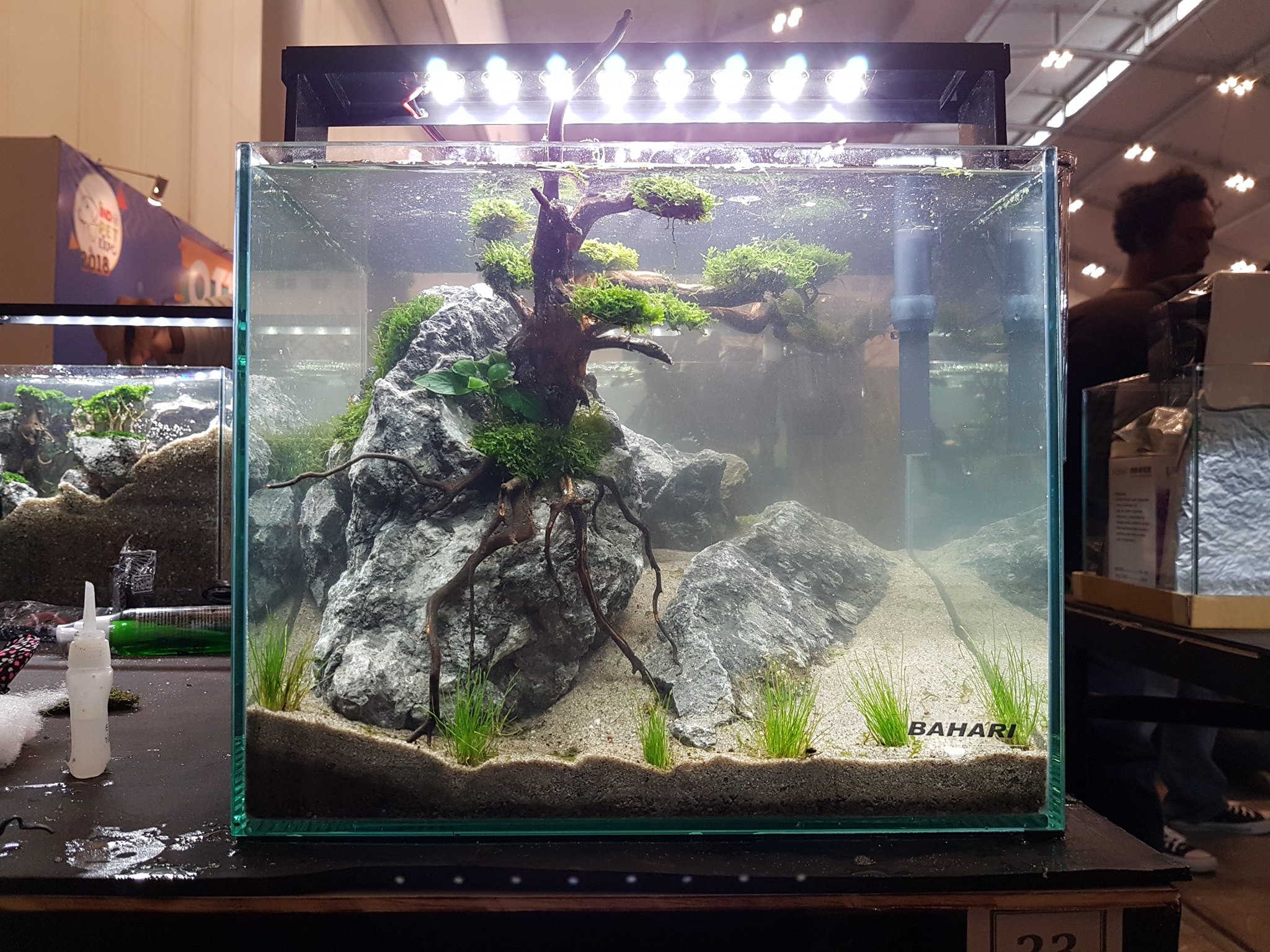 十大草缸经典造型,草缸的100种造型