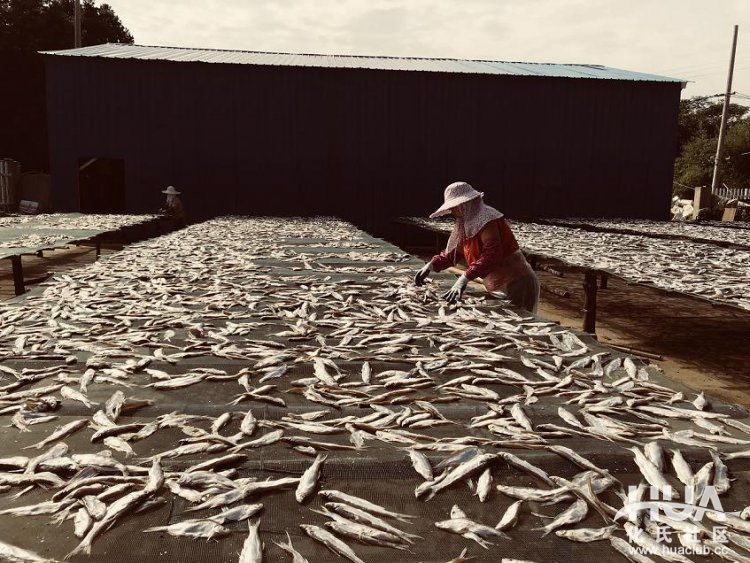 闲来游钓山水间，野塘子里上奇货！