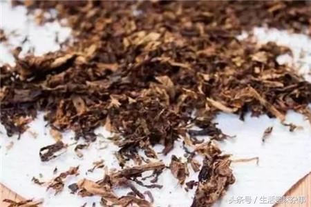 抽完的烟头别扔,抽完烟头别乱扔