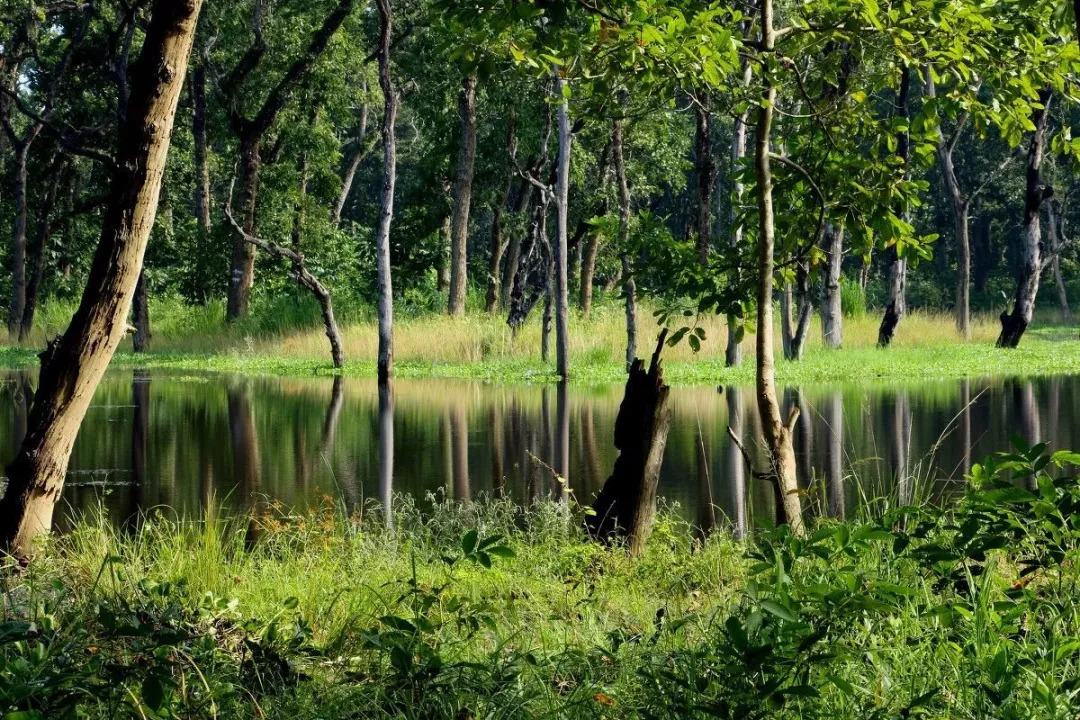 尼泊尔SKR什么地方？